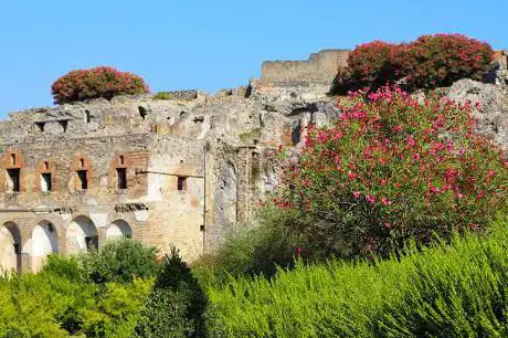 Photo de Sanctuaire d'Apollon