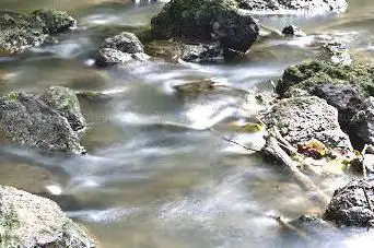 Photo de Réserve Naturelle Nationale des vallées de la Grand Pierre et de Vitain