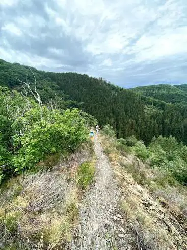 Photo de Molberlee
