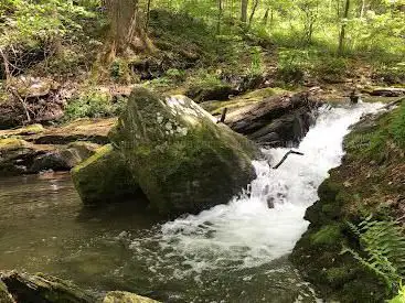 Photo de Trout Run Nature Preserve Trail