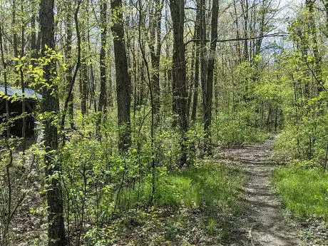 Photo de Italy Hill State Forest