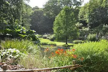 Photo de Flower Valley