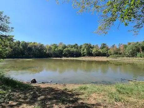 Photo de Parco delle Groane e Brughiera Briantea (ingresso via delle Betulle)