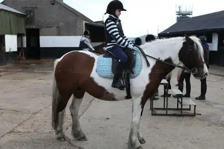 Elmwood Equestrian Centre