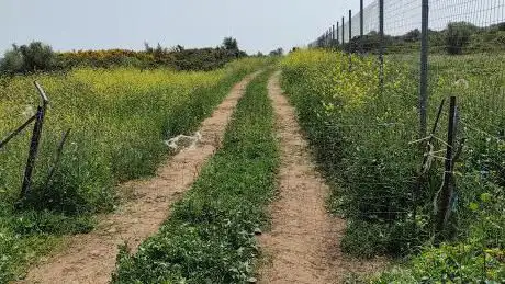 Ingresso Nuraghe Sa Iba Manna