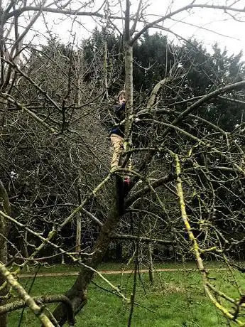 Photo de Broadmoor Lane Orchard Park