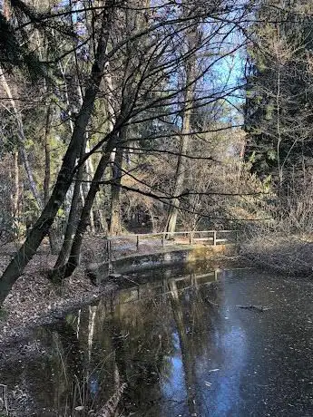 Photo de Laghetto di Gironico al Monte