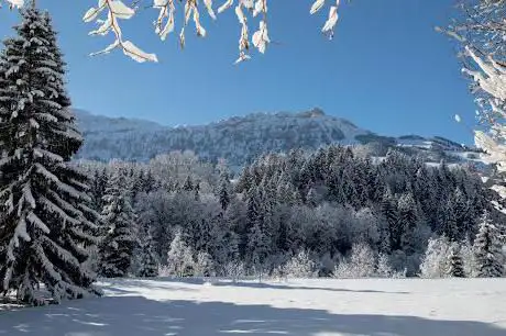 Tourist Center Frutigen
