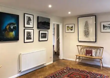 Photo de Red Dog Gallery