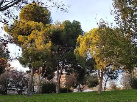 Photo de Butrón Park