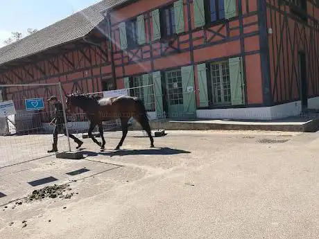 Centre équestre du Haras de Jardy