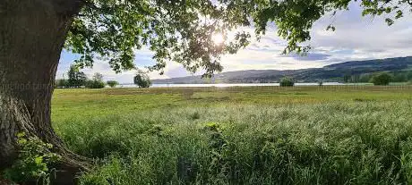 Storchennest