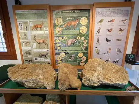 Museo Paleontologico di RoncĂ