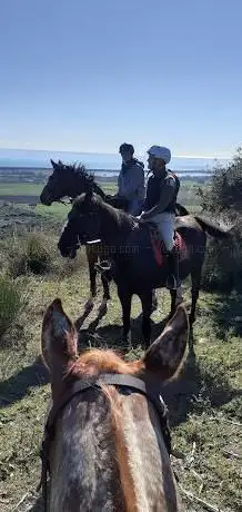 Photo de Cavalcanti Capalbiaccio