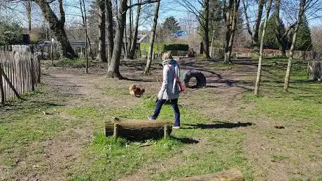 Hondenpark