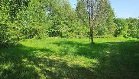 Salmon Pastures Nature Reserve