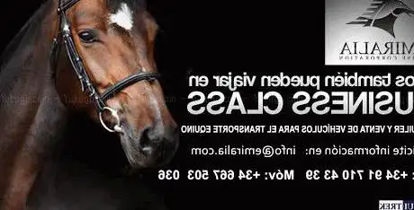 Photo de Emiralia Horse Corporation S.L.