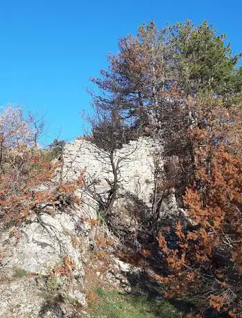 Sentiero per la Rocchetta