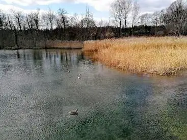Photo de Entenweiher Gerlafingen