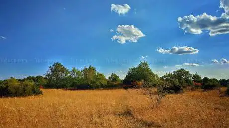 Photo de Chaumes du Patouillet