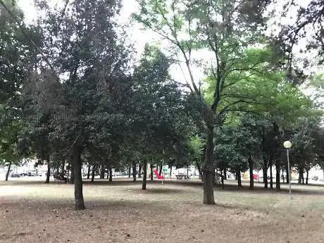Photo de Parco Piazza Puccini