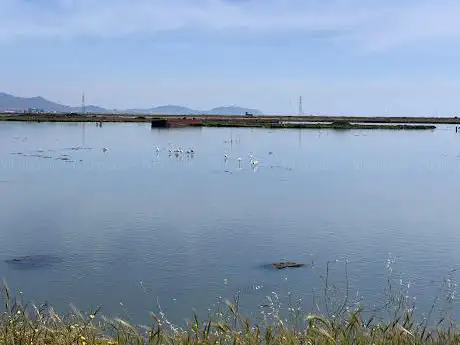 Stagno di Conti Vecchi