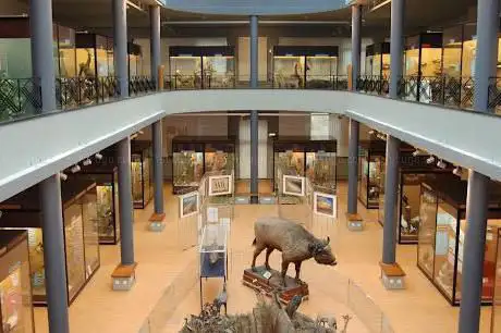 Muséum Régional des Sciences Naturelles
