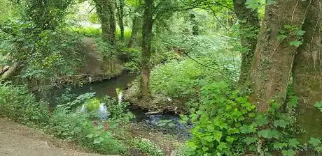 Dronfield Nature Park