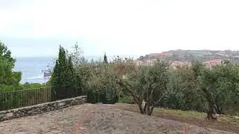 Photo de Association des amis du Moulin de Collioure