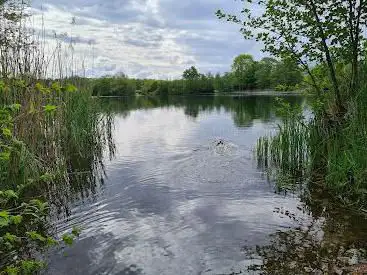 Photo de Teninger See
