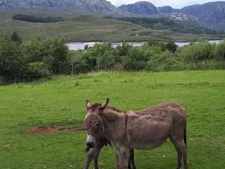 Photo de Dunlewey Centre