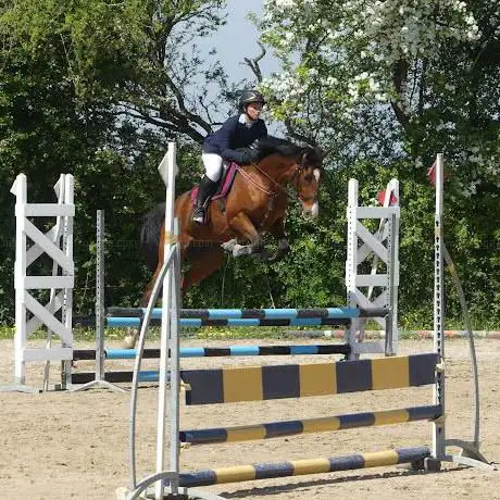 Photo de Poney club les Poneys du Maugis