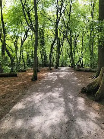 Photo de Highgate Wood