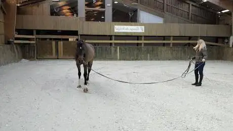 Photo de Le Haras de Werfat