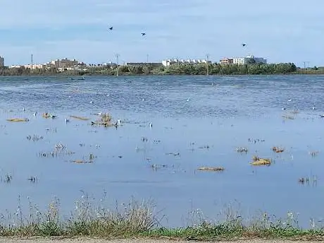 Photo de Albufera de Valencia