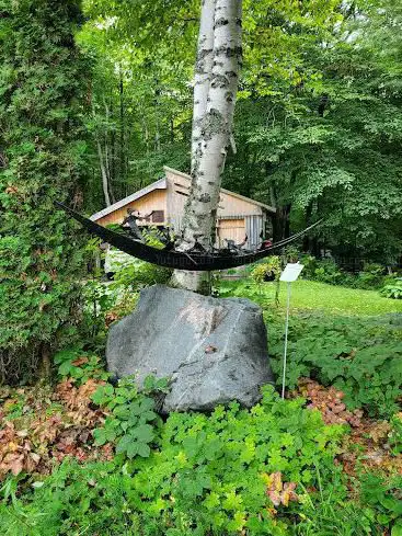 Galerie d'Art Mont-Sainte-Anne