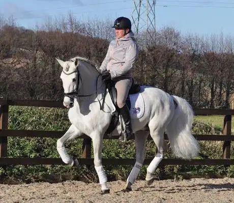 Photo de David Rumsey Dressage