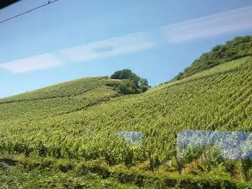 Photo de Findling mit Blick auf die Weinberge
