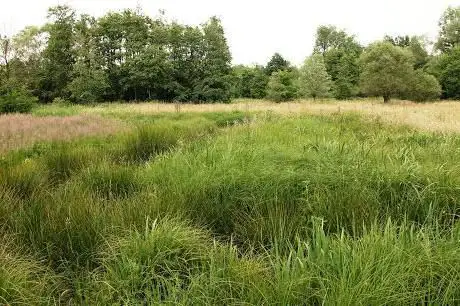 Groendomein Polder van Bree