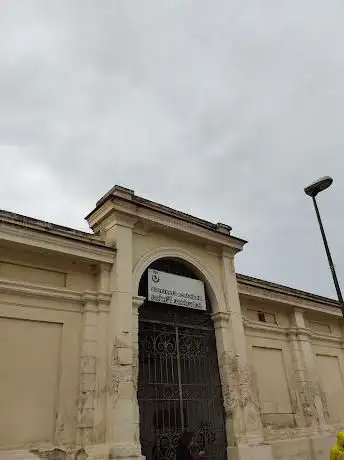 Librami sorso