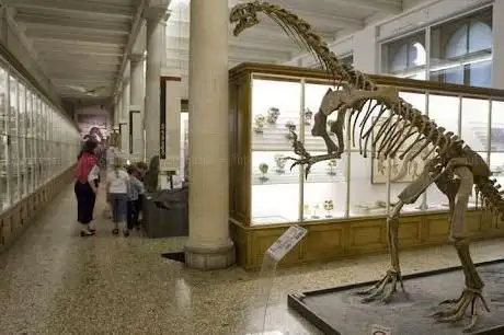 Photo de Musée cantonal de géologie