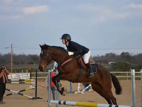 Photo de Casaletto Horses
