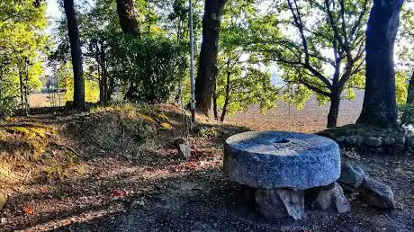Photo de Parco della Mamma