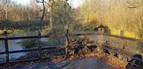 Cromer Wood