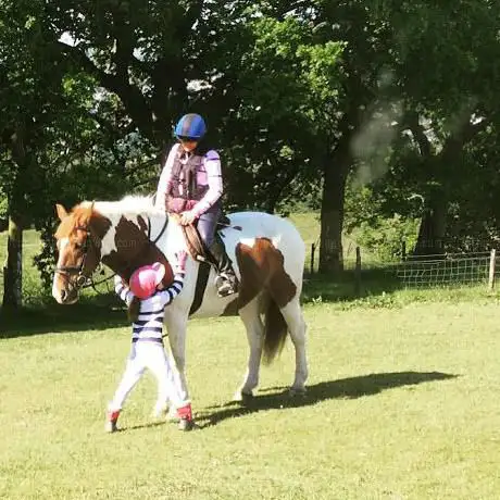 Photo de Loch Lomond Pony Trekking