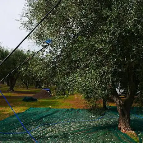 Azienda Agricola AgriBio Il Mandorlo