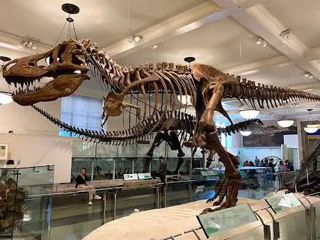 Photo de Muséum américain d'histoire naturelle