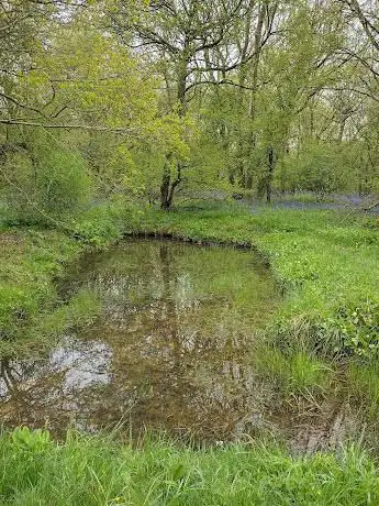 Photo de Upwood Meadows