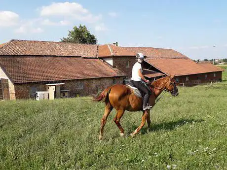 Equestrian Chieri