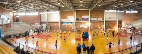 P.g.s. Pietro Larghi Volley